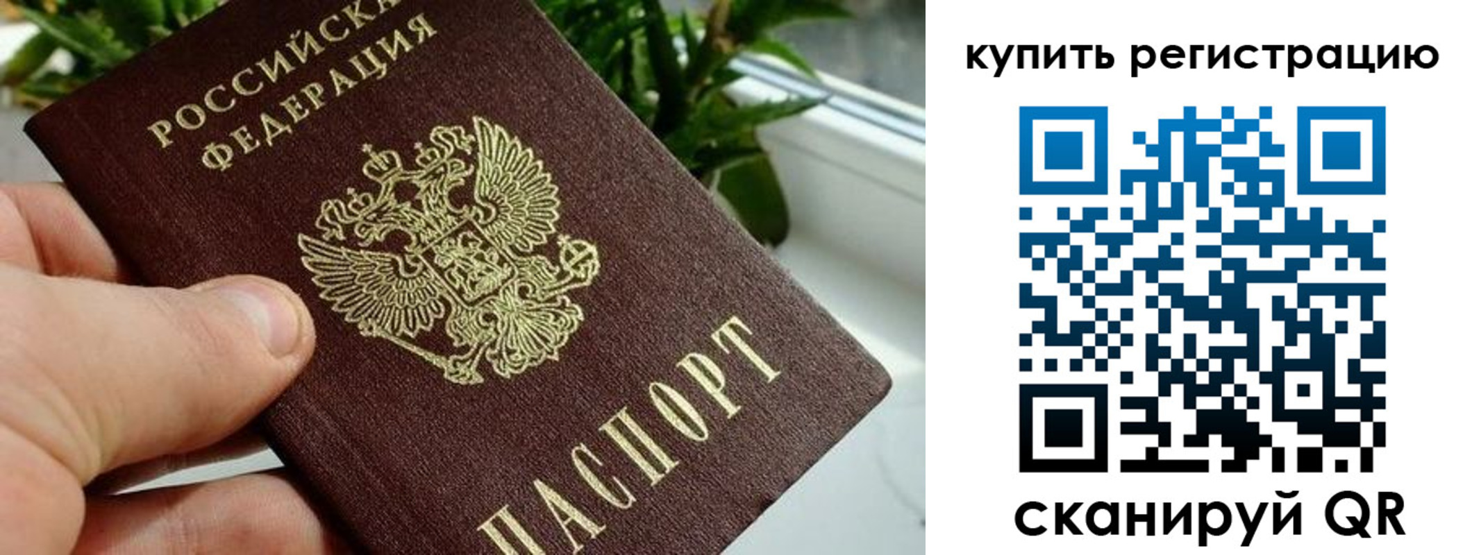 прописка гарантия в Лысьве